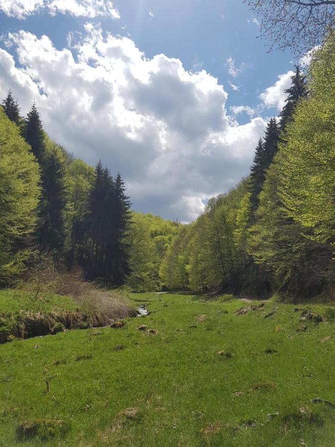 Pensiunea Iulia Rod Exteriér fotografie