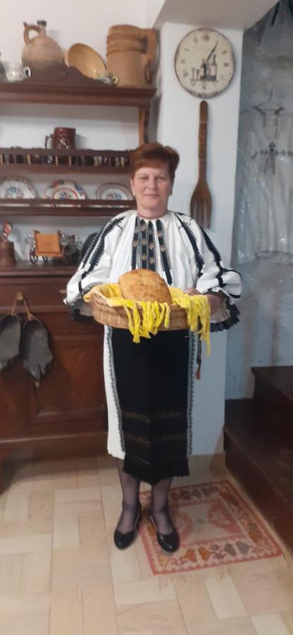 Pensiunea Iulia Rod Exteriér fotografie